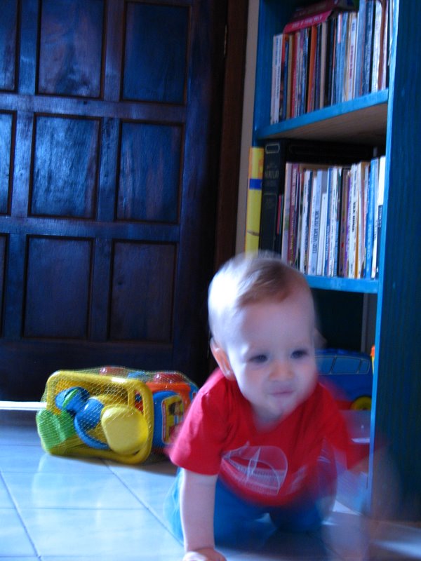 Francisco explorando a casa aos 11 meses